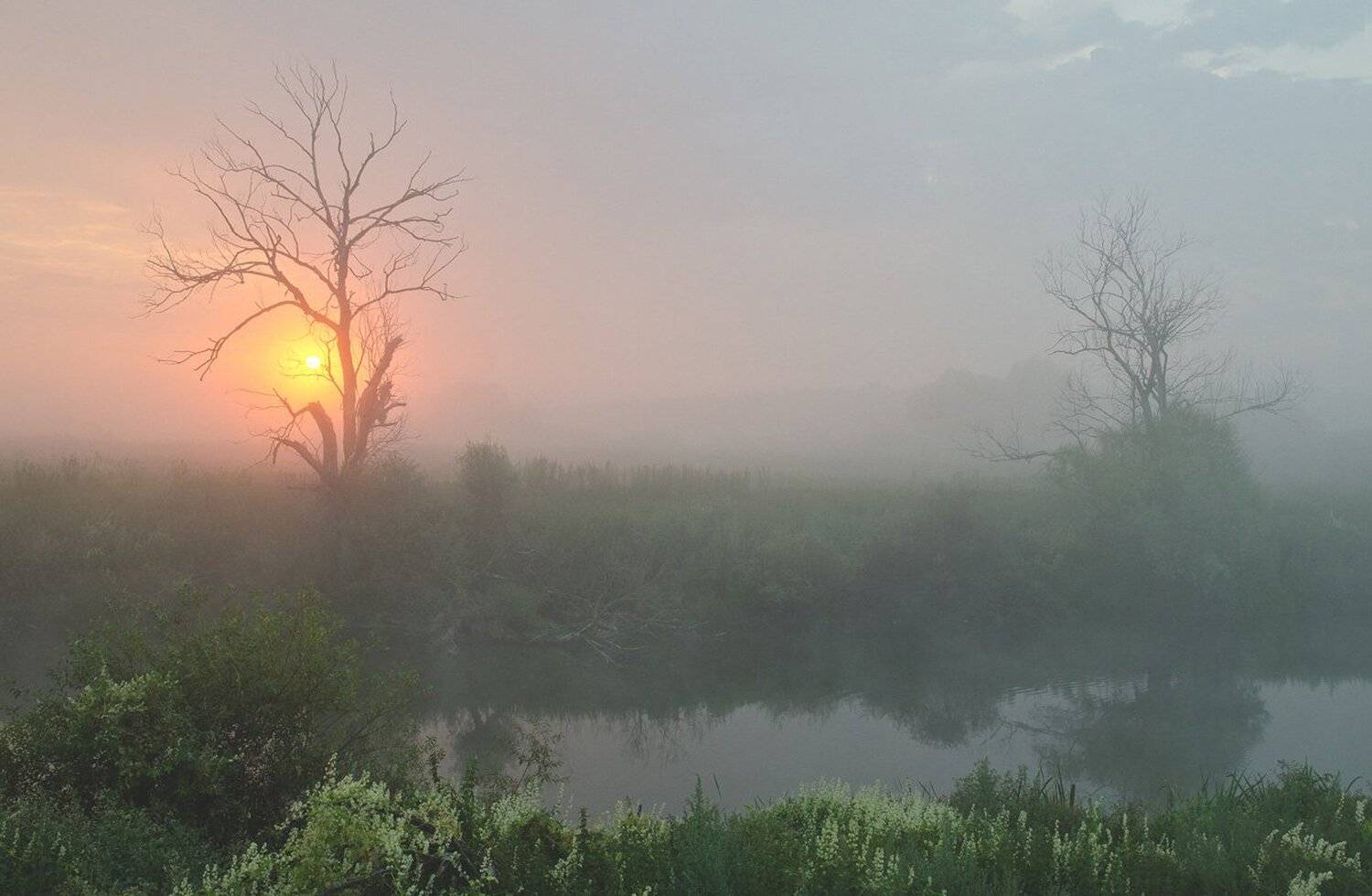 Бывают дивные мгновенья. Автор: Михаил Агеев , Михаил Агеев