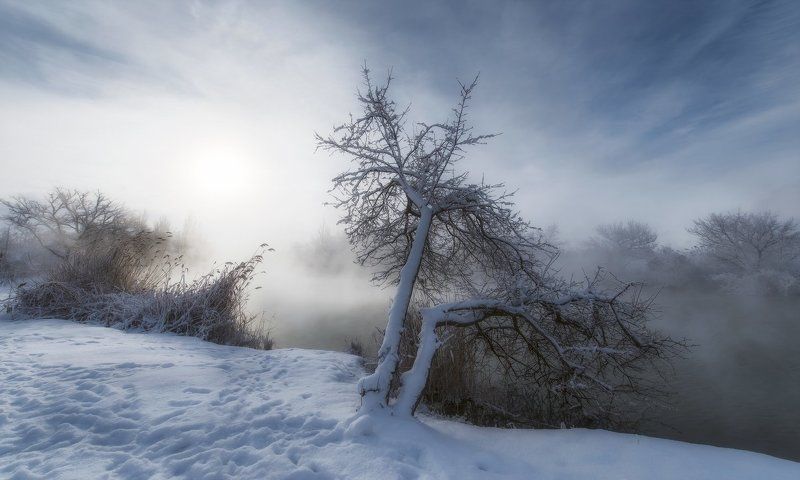 Январское доброе утроphoto preview