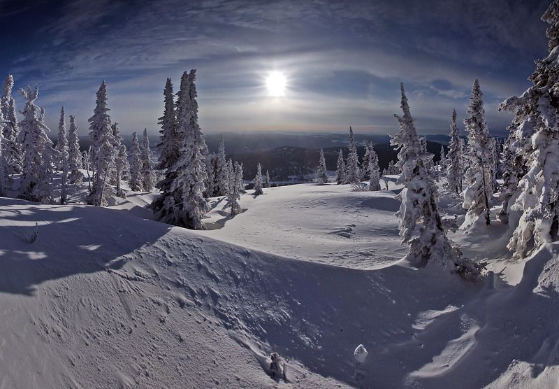 На склоне горы Зелёная ...photo preview