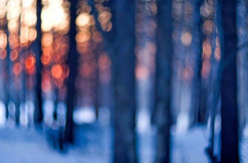 Aquarellephoto preview