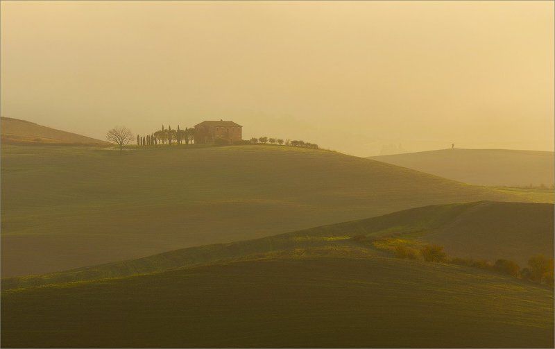 В утренней дымкеphoto preview