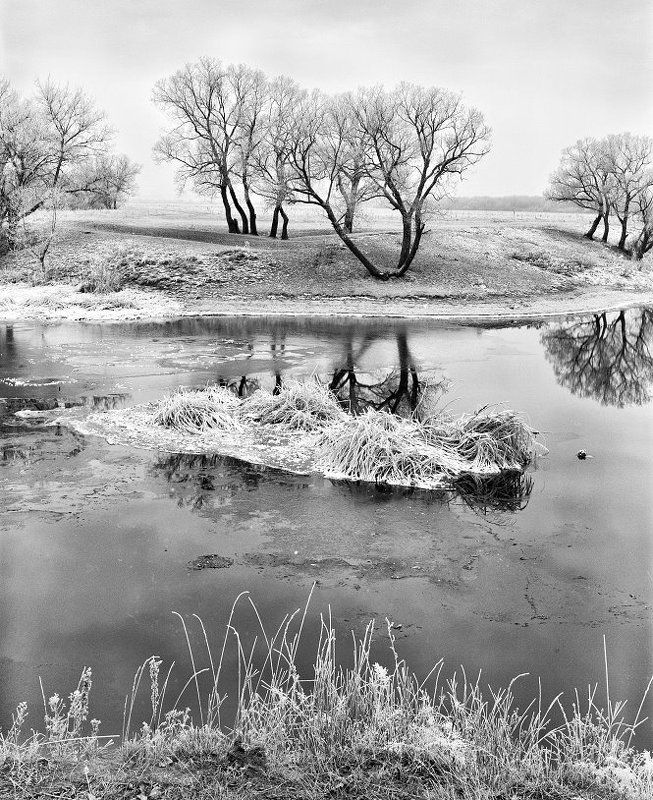 Первый инейphoto preview