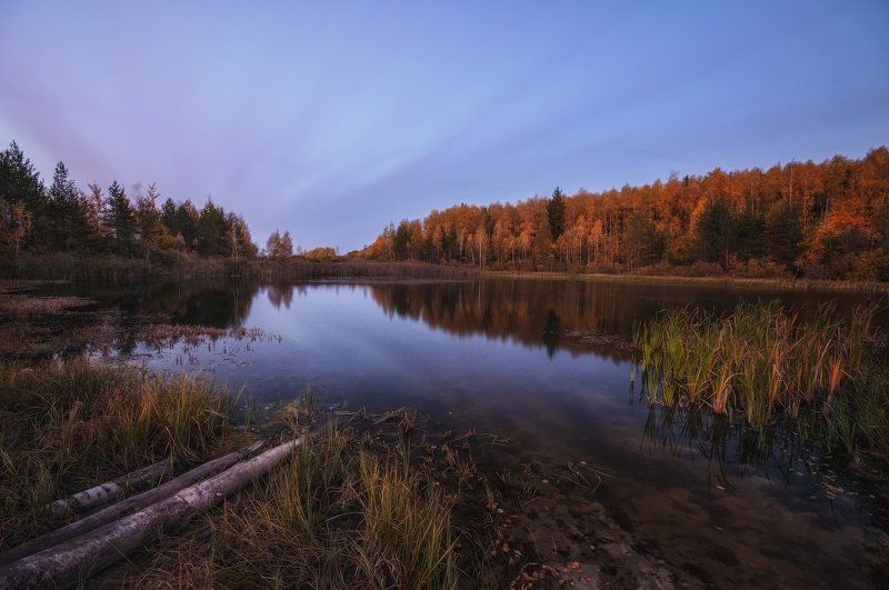 Вечер, Осень, Подмосковье, Пруд Осенним вечером у прудаphoto preview