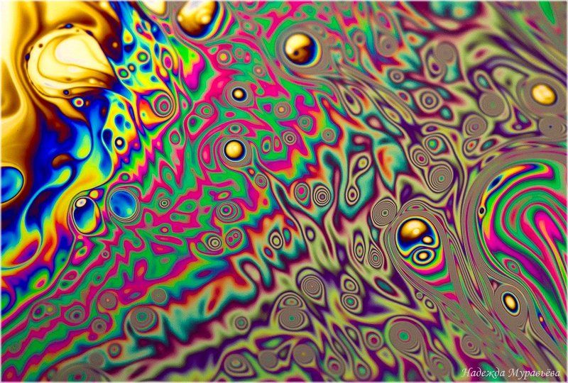 Найди Сидаphoto preview