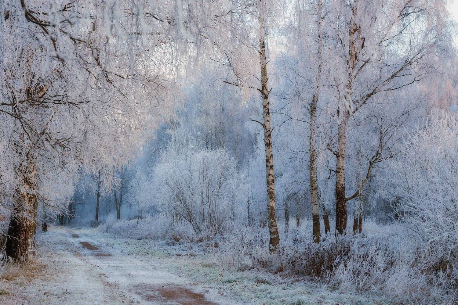 закат, осень, пушкин, царское село, царское, санкт-петербург, пушкин, питер, landscape, nature, Таня SHE (Aiya)
