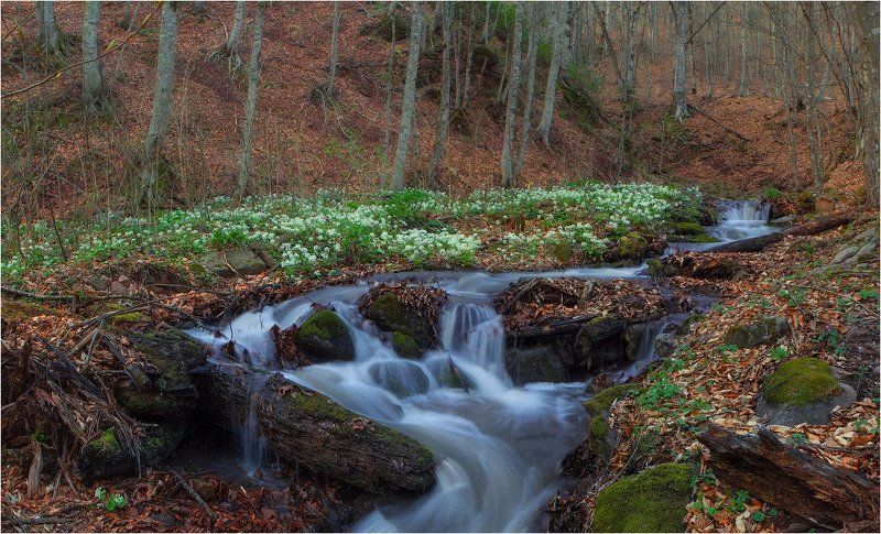 ранняя весна в Адыгееphoto preview