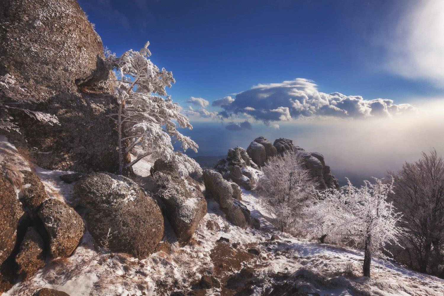 , Андрей Уляшев (Mercand)