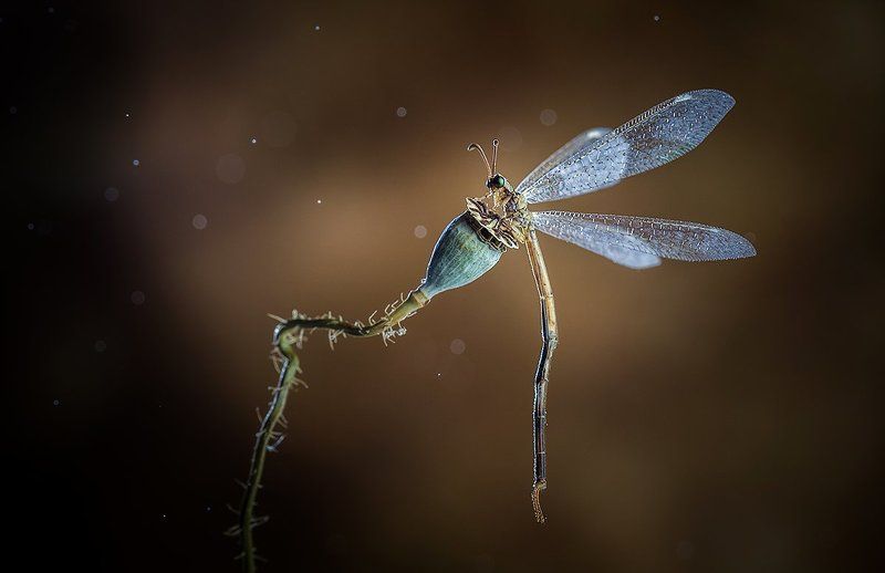 После трудового дня...photo preview