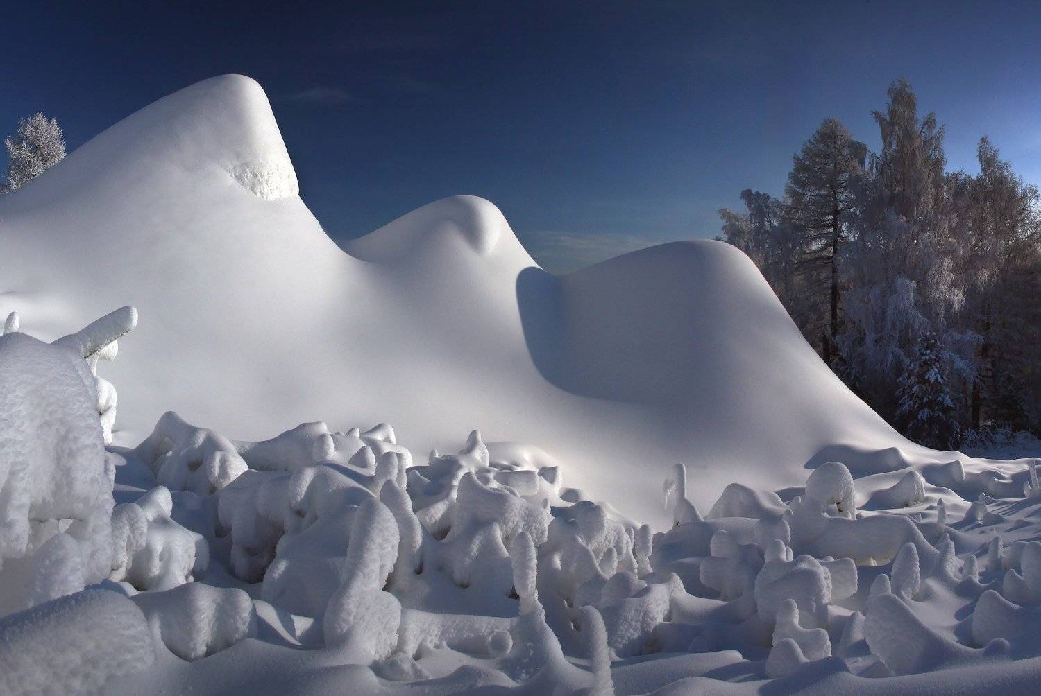 Три богатыря.... Автор: Лихарев Александр , Лихарев Александр