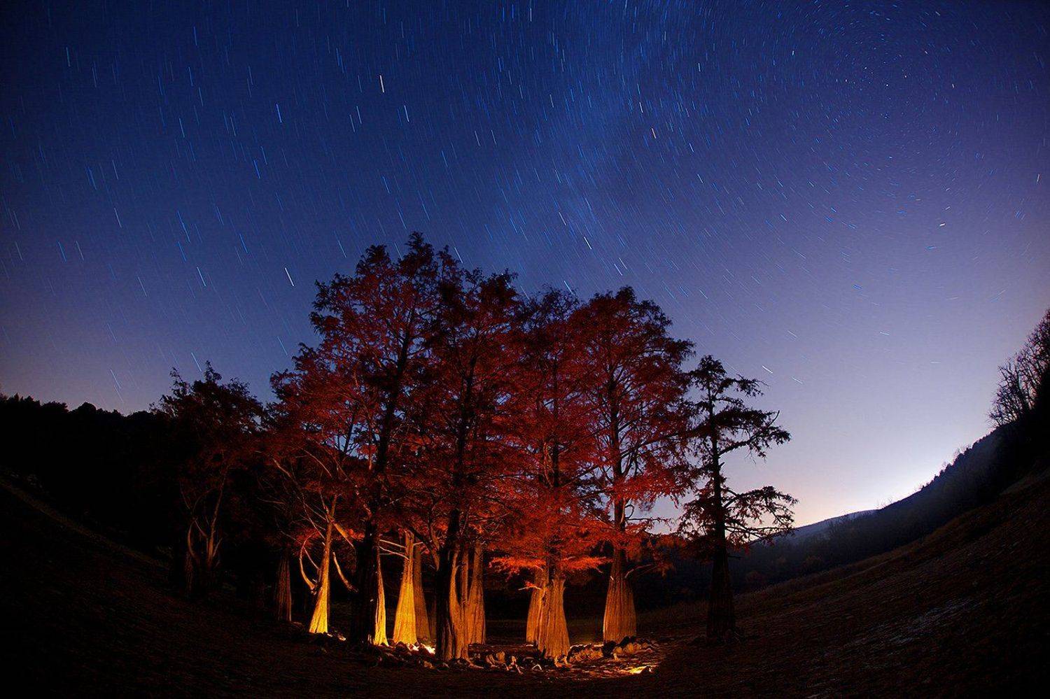 , Никифоров Егор