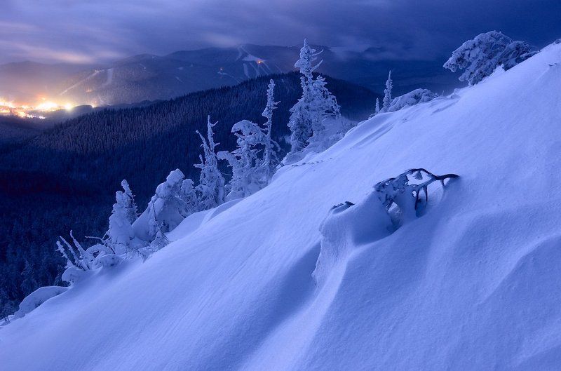 Dusk, Forest, Karpaty, Landscape, Pine, Snow, Trees, Деревья, Елки, Капрати, Лес, Пейзаж, Снег, Сумерки photo preview