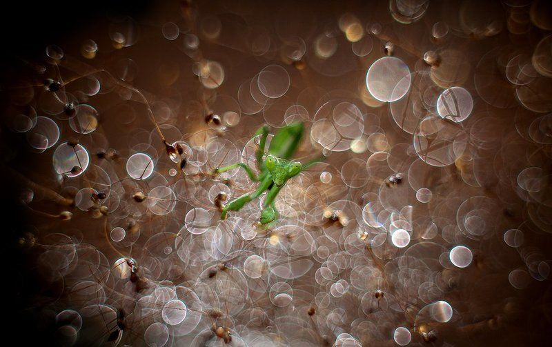 «Автостопом по галактике»photo preview