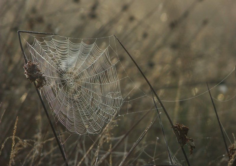 Волейбольная сетка фото превью