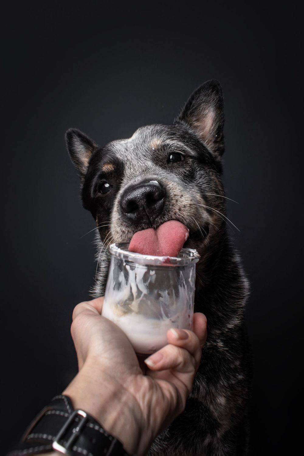 Вкусняшка. Автор: Юлия Гончар , Юлия Гончар