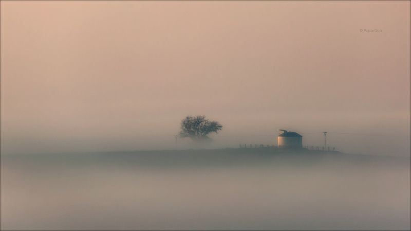 южная моравия,пейзаж,туман,линии,south moravian,lines,свет,czech,осень,чехия,landscapes,поле,башня БАШНЯ В ТУМАНЕ фото превью