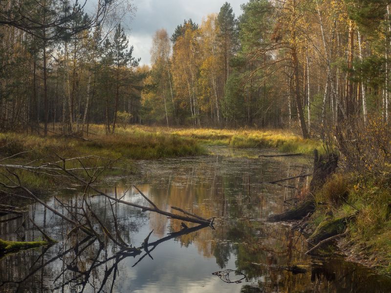 осень речка суходол серково октябрь Погожий денёк фото превью