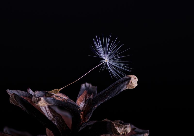 Безметежностьphoto preview