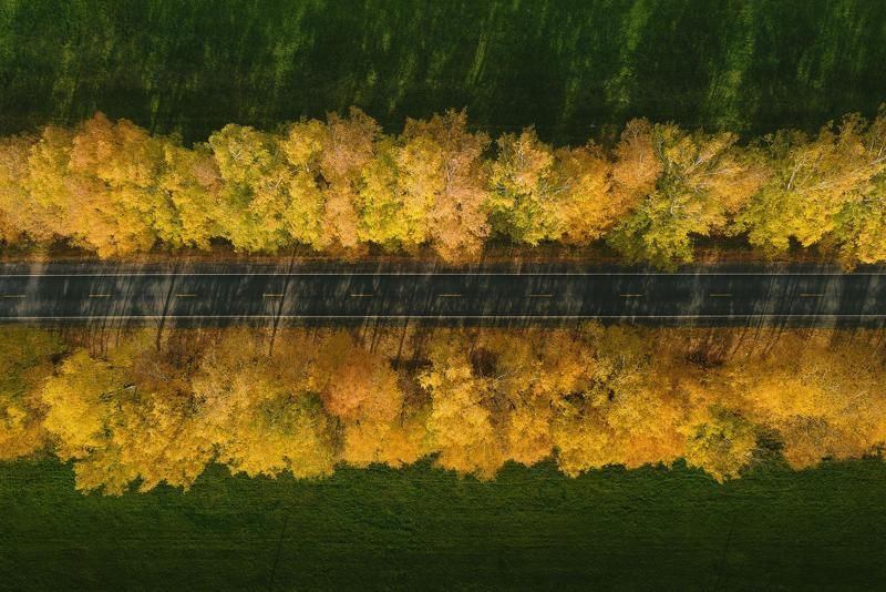 ивановская область Дорога в осеньphoto preview