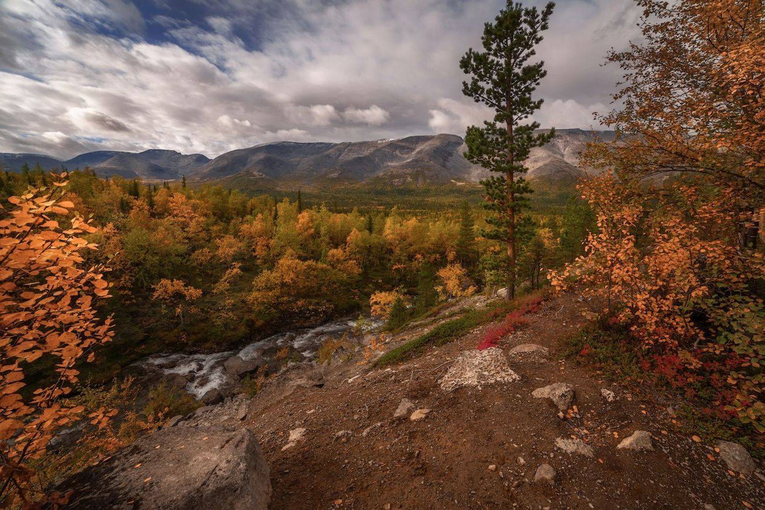 про северную осень. Автор: Марина Мурашова , Марина Мурашова
