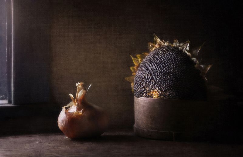 Чёрное солнцеphoto preview