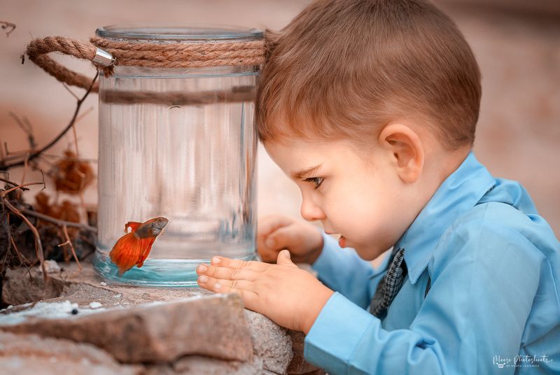 My golden fishphoto preview