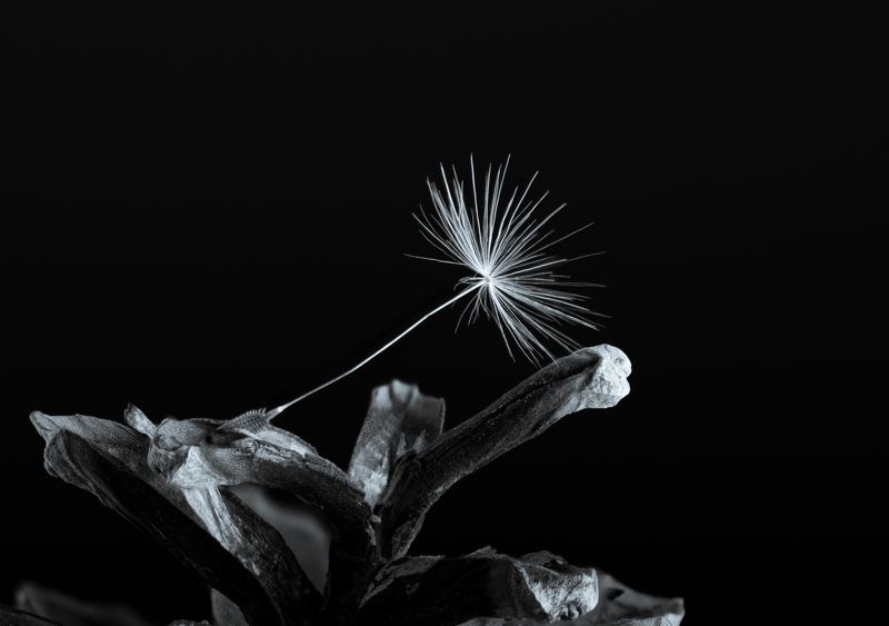 Чувственностьphoto preview