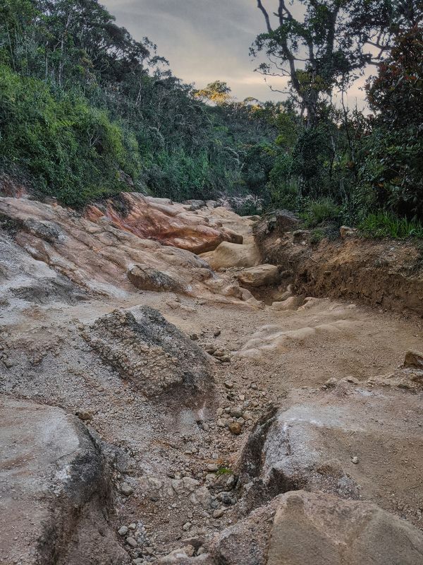 мобильная фотография, mobile photography, природа, пейзаж, sri lanka One morning in Horton Plains (mobile photo)photo preview