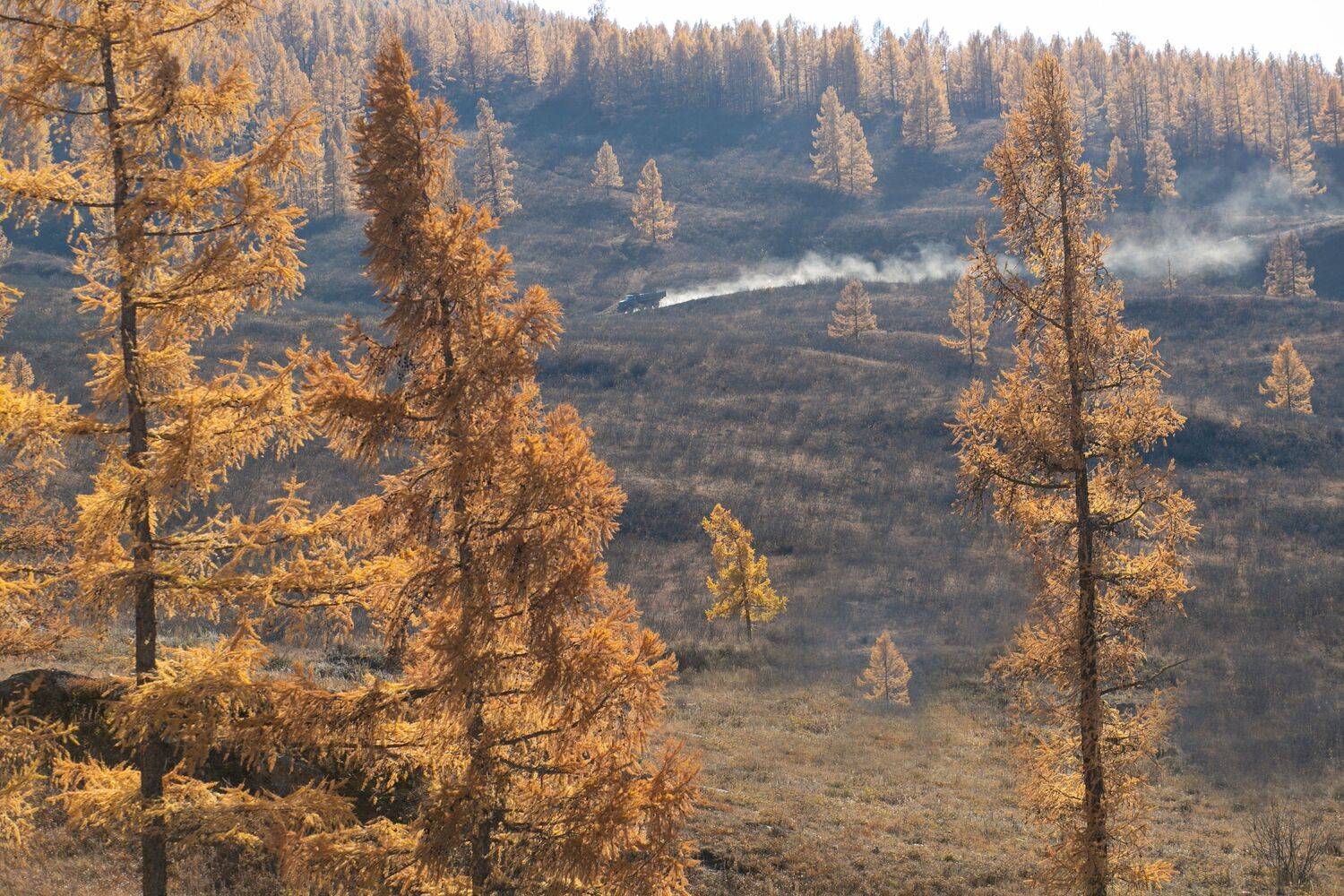 * * * * *. Автор: Константин Буркин , Константин Буркин