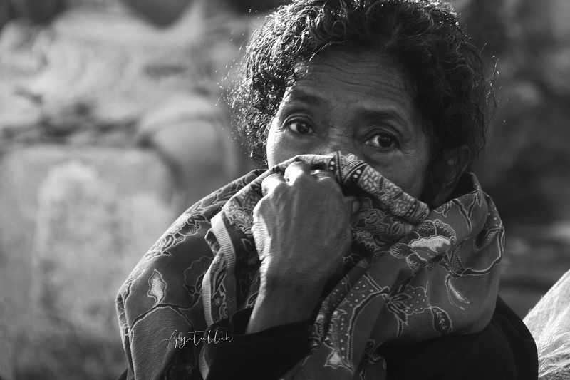 every thing livephoto preview