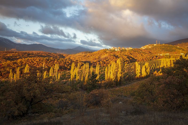 крым, осень, алушта, виноградники, горы, пейзаж, природа, утро, Осенние зарисовки. фото превью
