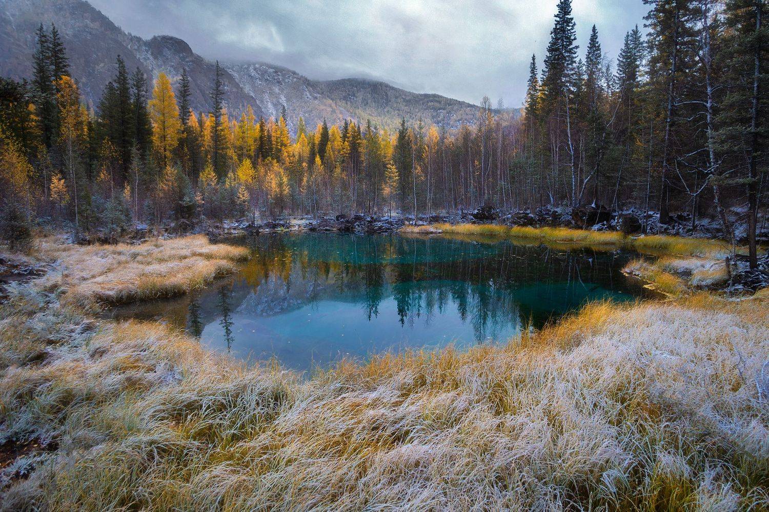 Автор: Юрий Столыпин , Юрий Столыпин