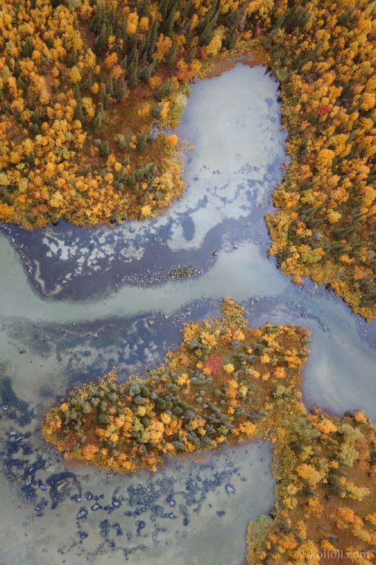 ловозерские тундры, луяврурт, кольский полуостров, заполярье, осень, мурманская область, хибины, текстуры, drone photo, dji, фактуры, орнаменты севера, природа севера, природа заполярья Фрагменты севера большие и малые.photo preview