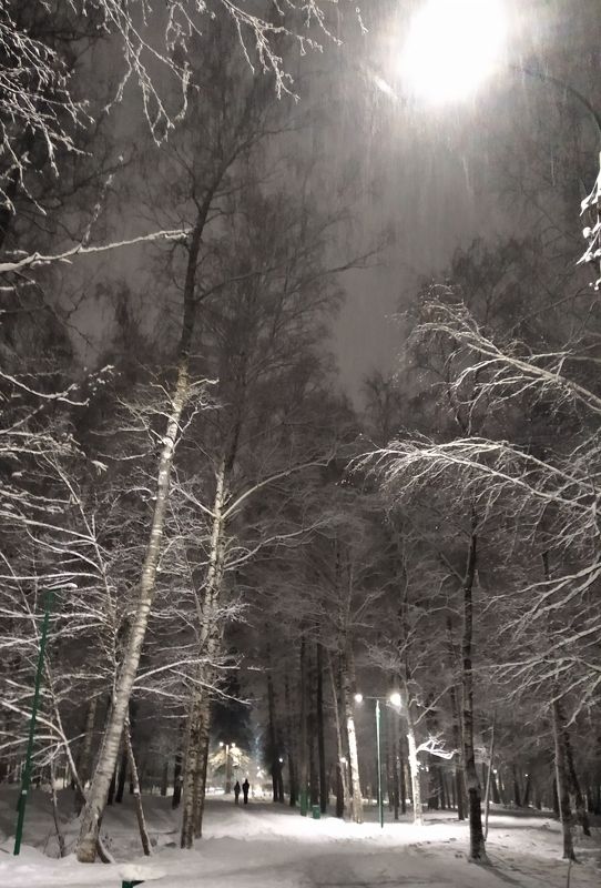 ....вот и зима... фото превью