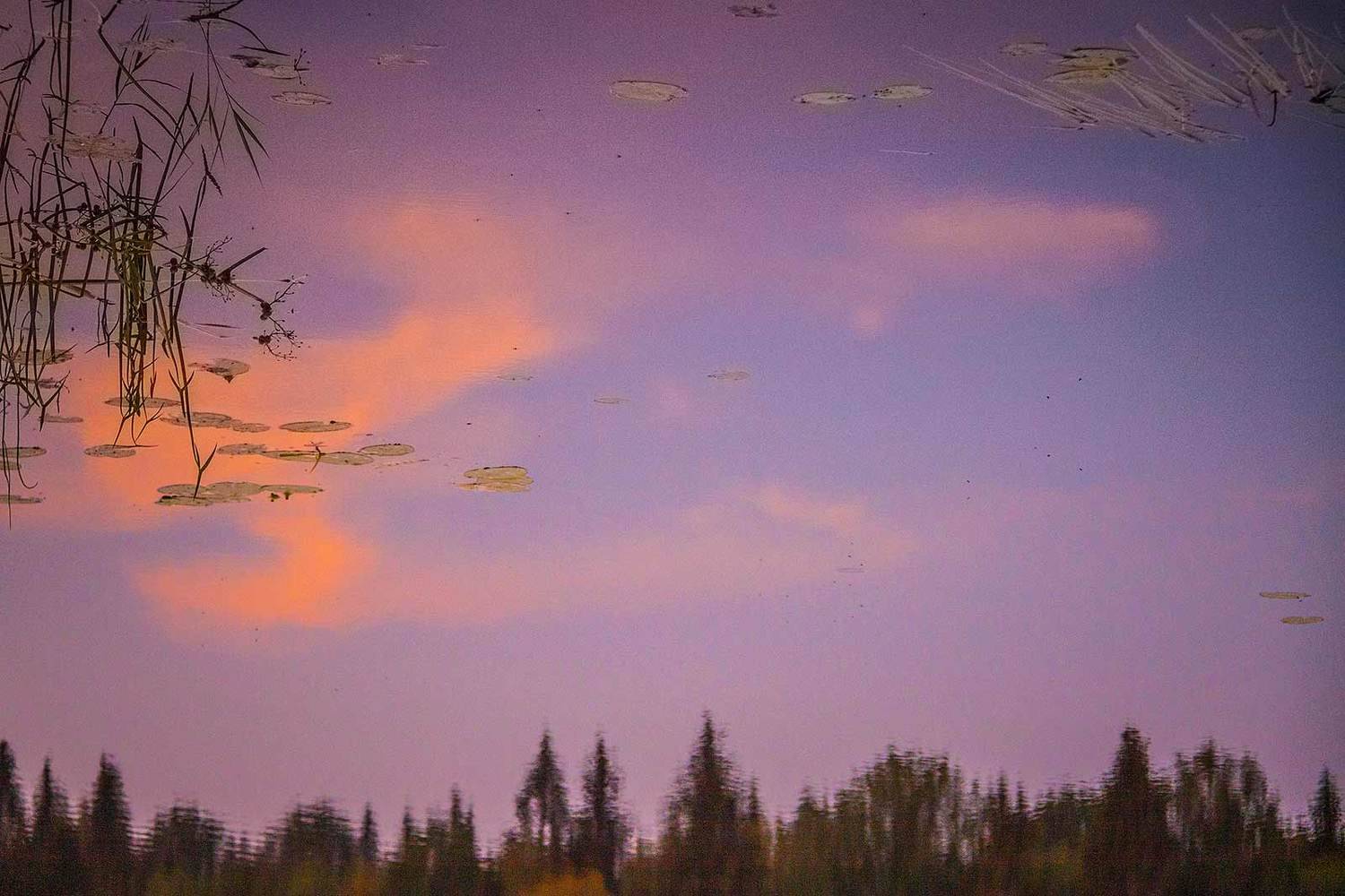 Фантазии на закате. Автор: Напалкин Станислав , Напалкин Станислав