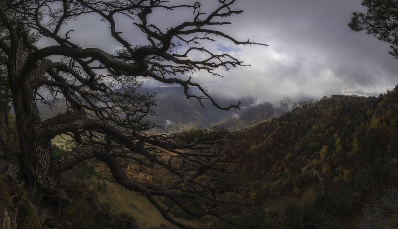 золотая осень, горы ***photo preview