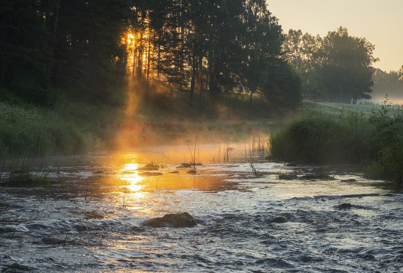 Луч солнца золотогоphoto preview