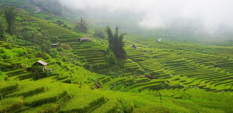 Y ti terracesphoto preview