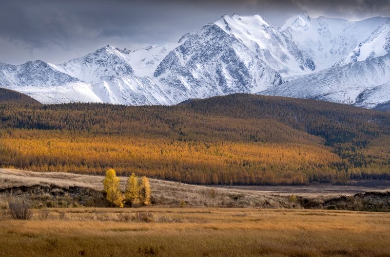 алтай, горы, нд, ештыкёль, фототур на алтай, республика алтай, фототур, осень, что такое осень?, осень на алтае, горный алтай, ештыккель, золотой алтай нд, золотой алтай На плато Ештыкёльphoto preview