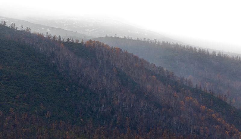 Пейзажи Камчатки снятые телевикоь фото превью