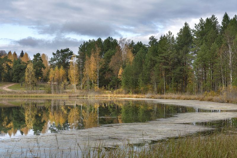 осенний блюз photo preview