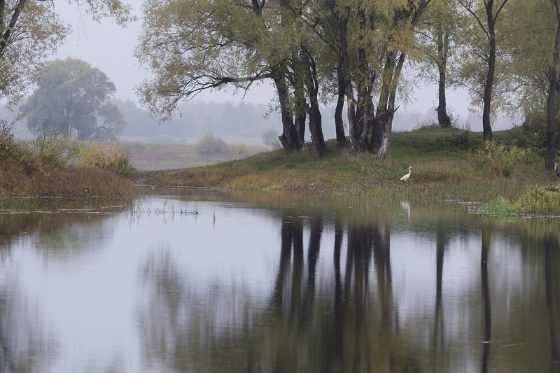 у водыphoto preview