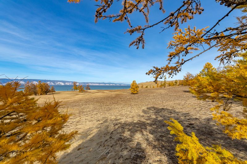 осенний, ольхон photo preview