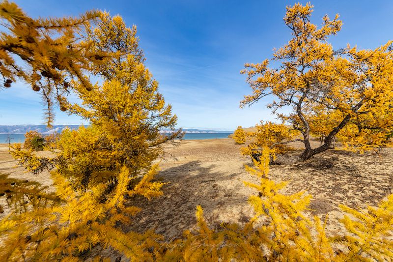 ольхон, байкал, olkhon, baikal photo preview