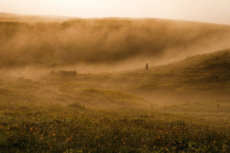 горы, рассвет, оштен, туман Золотой рассветphoto preview