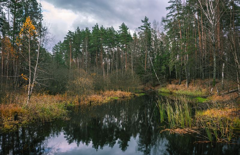 Поздняя осеньphoto preview