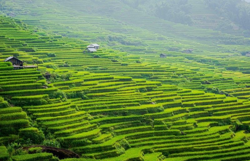 Y ti terracesphoto preview