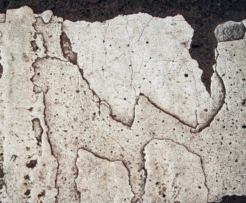 pareidolia Носорог и ? (дорожная разметка)photo preview