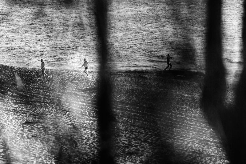 street photography, street photo, bw, bnw, black and white, people, coast, sea, baltica, shore, trees, sands, черно-белое, черно-белая фотография, стрит, люди, пляж, балтика, море, деревья, ***photo preview