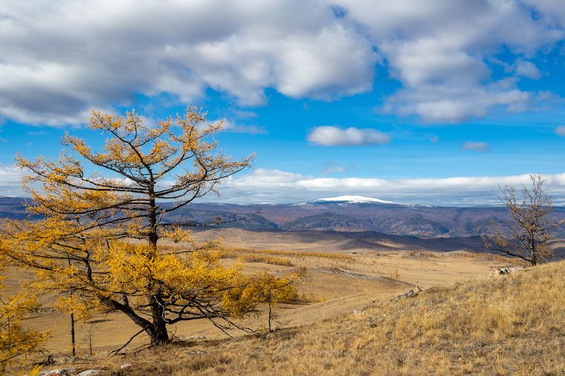 байкал, ольхон, тажеранская степь photo preview