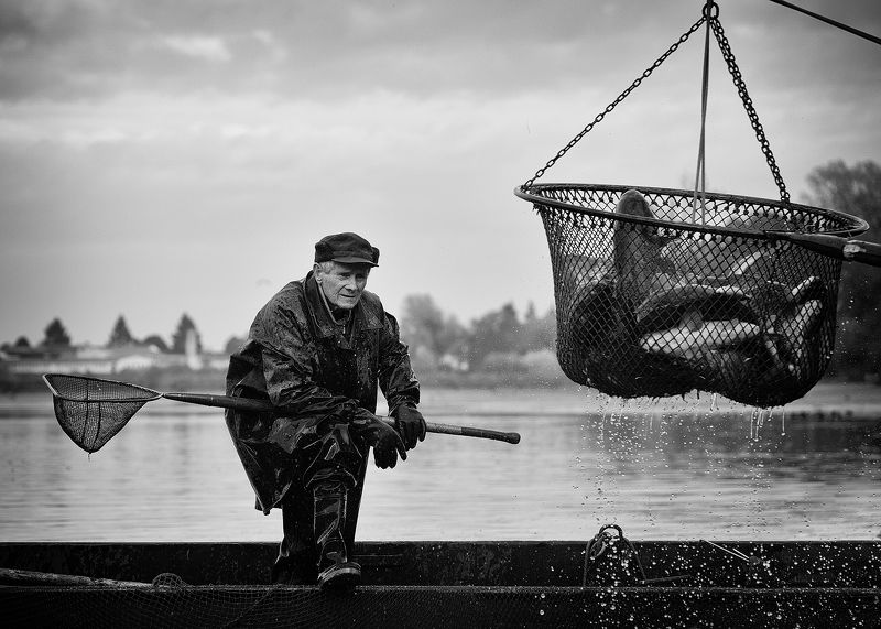 From catching fishphoto preview